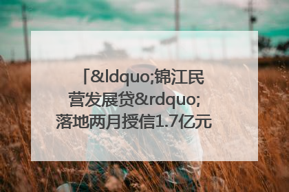 “锦江民营发展贷”落地两月授信1.7亿元，惠及118家民企