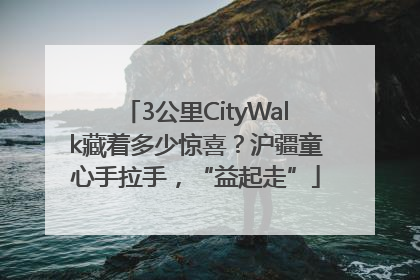 3公里CityWalk藏着多少惊喜？沪疆童心手拉手，“益起走”