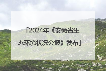 2024年《安徽省生态环境状况公报》发布
