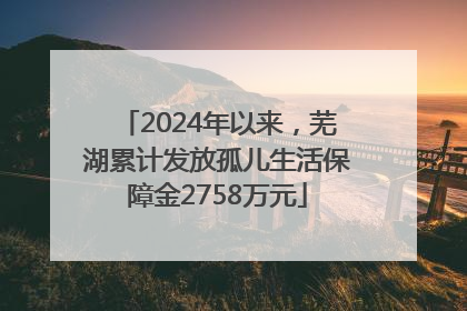 2024年以来，芜湖累计发放孤儿生活保障金2758万元
