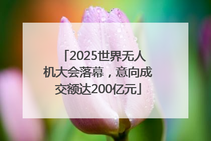 2025世界无人机大会落幕，意向成交额达200亿元