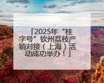 2025年“桂字号”钦州荔枝产销对接（上海）活动成功举办！