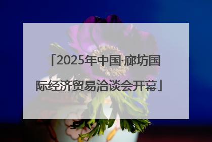 2025年中国·廊坊国际经济贸易洽谈会开幕