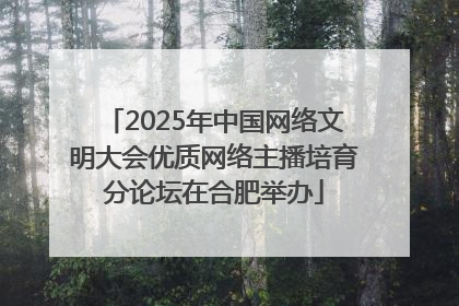 2025年中国网络文明大会优质网络主播培育分论坛在合肥举办