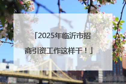 2025年临沂市招商引资工作这样干！