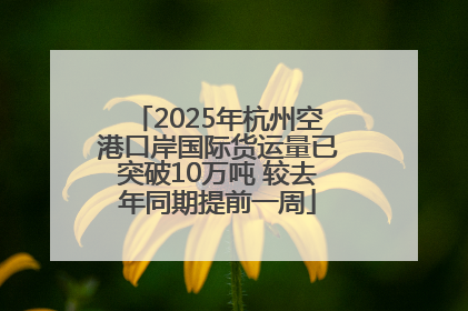2025年杭州空港口岸国际货运量已突破10万吨 较去年同期提前一周