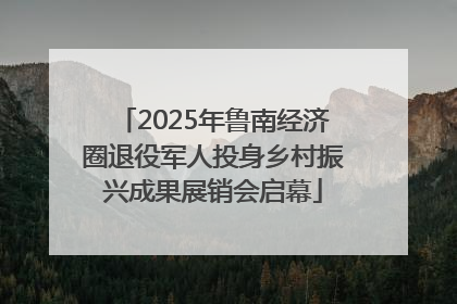 2025年鲁南经济圈退役军人投身乡村振兴成果展销会启幕