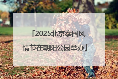 2025北京泰国风情节在朝阳公园举办