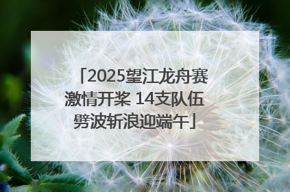 2025望江龙舟赛激情开桨 14支队伍劈波斩浪迎端午