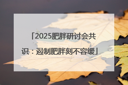 2025肥胖研讨会共识：遏制肥胖刻不容缓