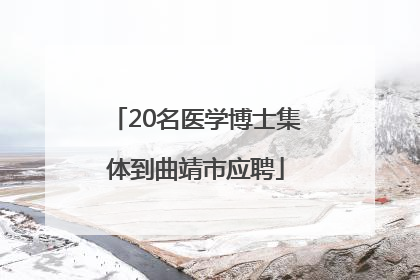 20名医学博士集体到曲靖市应聘
