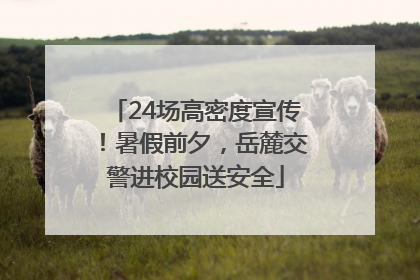 24场高密度宣传！暑假前夕，岳麓交警进校园送安全