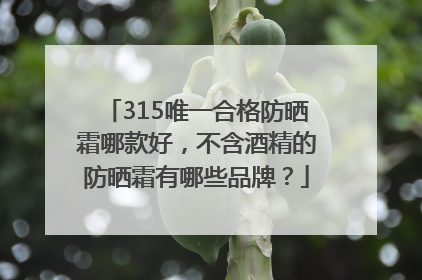 315唯一合格防晒霜哪款好，不含酒精的防晒霜有哪些品牌？