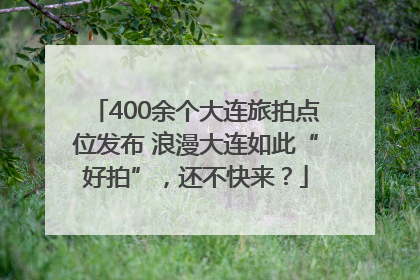 400余个大连旅拍点位发布 浪漫大连如此“好拍”，还不快来？