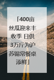 400亩丝瓜迎来丰收季 日供3万斤为沪苏锡常餐桌添鲜