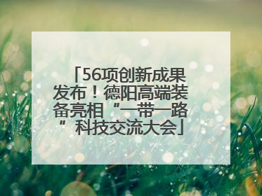 56项创新成果发布！德阳高端装备亮相“一带一路”科技交流大会