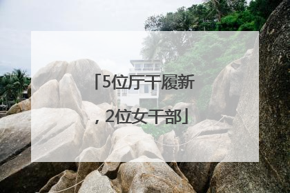 5位厅干履新，2位女干部
