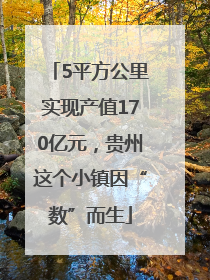 5平方公里实现产值170亿元，贵州这个小镇因“数”而生