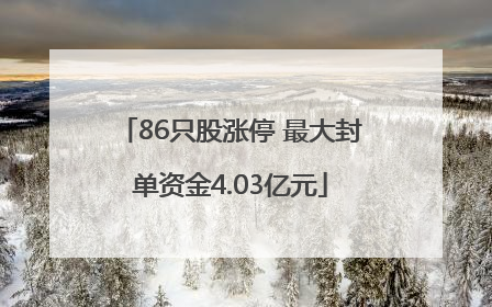 86只股涨停 最大封单资金4.03亿元