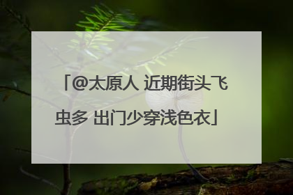 @太原人 近期街头飞虫多 出门少穿浅色衣