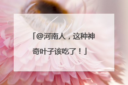 @河南人，这种神奇叶子该吃了！