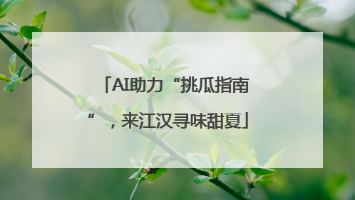 AI助力“挑瓜指南”，来江汉寻味甜夏