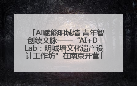 AI赋能明城墙 青年智创续文脉——“AI+D Lab：明城墙文化遗产设计工作坊”在南京开营