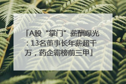 A股“掌门”薪酬曝光：13名董事长年薪超千万，药企霸榜前三甲