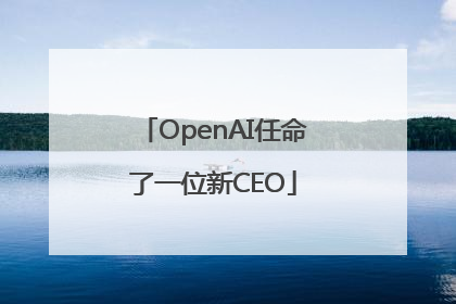 OpenAI任命了一位新CEO