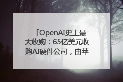 OpenAI史上最大收购：65亿美元收购AI硬件公司，由苹果前设计总监创办